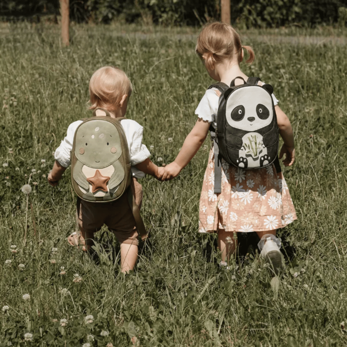 BLOG - fotka v článku - 2025-08-13T104155.362